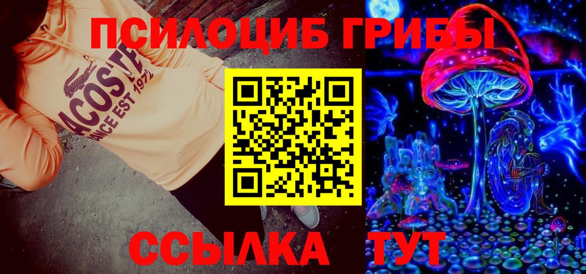 Псилоцибиновые грибы Psilocybe Белебей